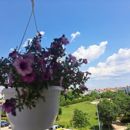 Appartamento Battistella'S Near The Sea Rovigno Esterno foto